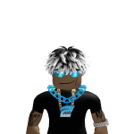 @roblox_user_4170985718