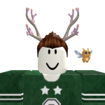 @OriRoblox1976