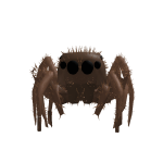 @robloxjadore1pts
