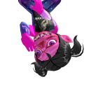 @zEInAL0L