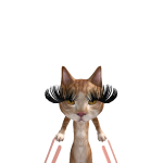 @FurryGamerGir