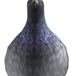@Yard_000