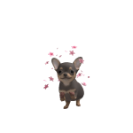 @vale08763
