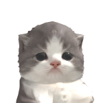 @foxiesally
