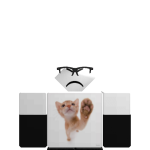 @Meowdless