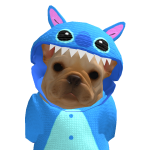 @Cirpty