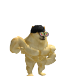 @DAIKI01200