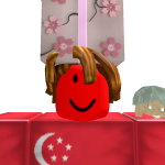 @5ingapore