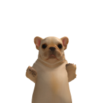 @fionntythebun