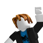 @roblox_user_155687700