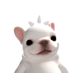 @elrcat11