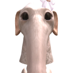 @invoku