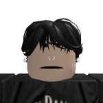 @p4slm