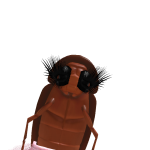 @Ellie666555