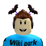 @wiki0929