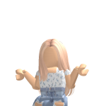 @robloxer241028
