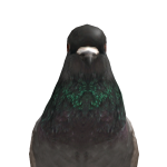@hunterthekillr9