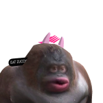 @elowie13