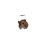 @GrrLilyyy