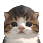 @CatLoveMilk8