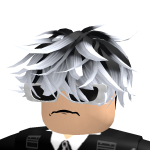 @roblox_user_1113698987
