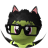 strudystrims