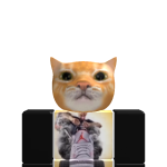 @mrfloppycat23