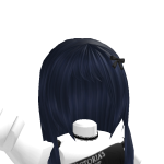 @sledeca