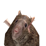 @233HEY353