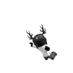 @Aidenrobloxiscool