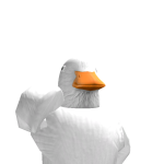 @WildPelican17