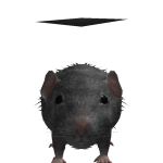 @GIossophobiaa