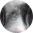 Purplemon99