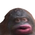 @jbean_223