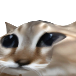 @fluffkinwayne123