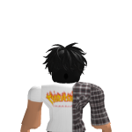 @gokusupersayayin1112