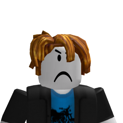 Roblox profile picture for @HERRY3411