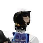 @AwShucksiWentOOF