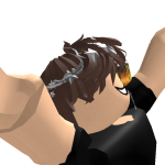 @roblox_user_4753756029