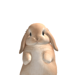@Jufofa1234568