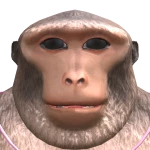 tay's avatar