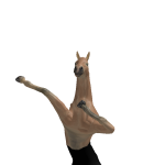 @HorseBarn2
