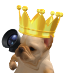 @Haydblox7