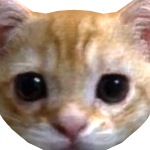 @smuckrt