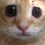@therealpro443