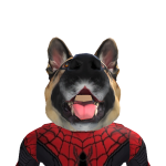 Ballofmeat79