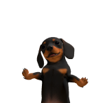 @Robloxlovergirl_325