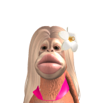 @dang_jvzzy