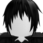 @roblox_user_3557644736