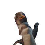 @hippodream